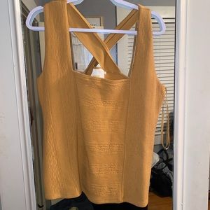 Anthropology Tank